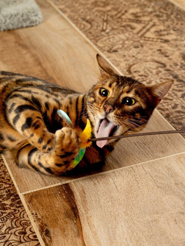 Udice Květ se stimulací tří instinktů lovce pro kočky