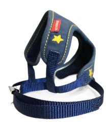 Postroj a vodítko s dvojitým zapínáním pruhovaný modrý SS