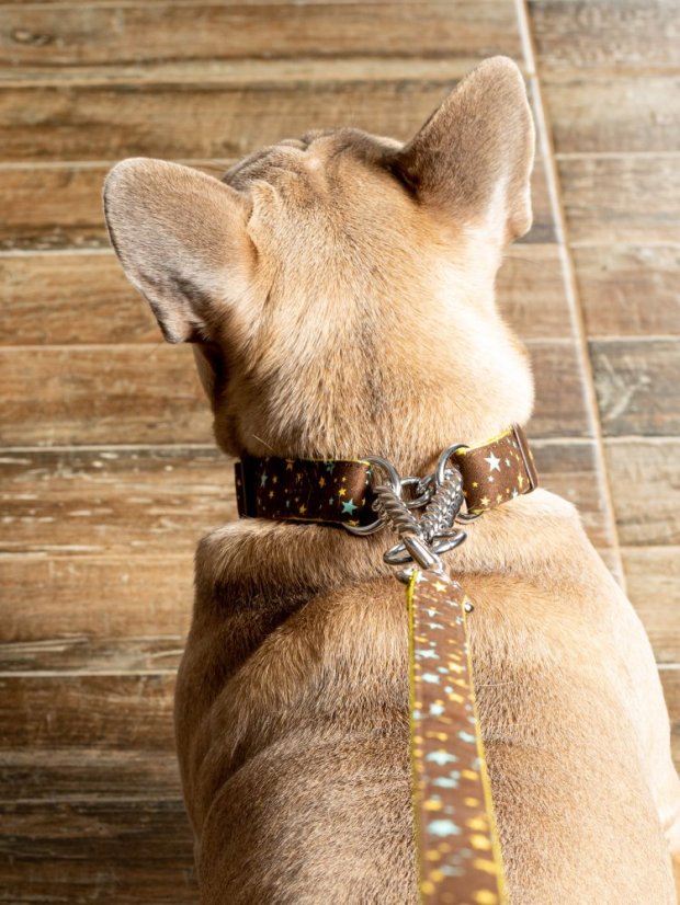 Polostahovací obojek s řetízkem Hvězdy hnědý S