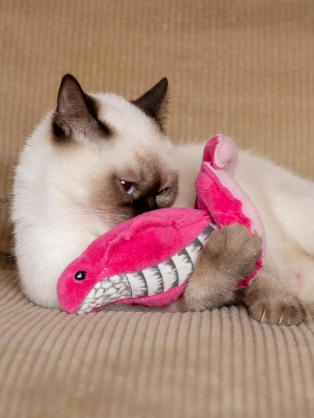 Hračka pro kočky Kobra