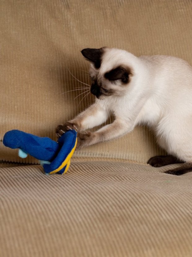 Hračka pro kočky Úhoř