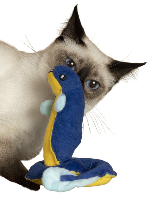 Hračka pro kočky Úhoř