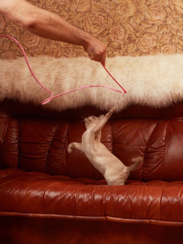 Škádlítko se silným křupáním růžové