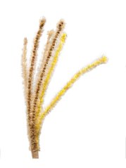 Škádlítko Zlatý klásek z přírodního lnu pro kočky