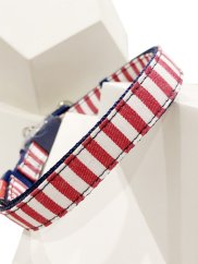 Džínový obojek a vodítko s dvojitým zapínáním pruhovaný červený SS