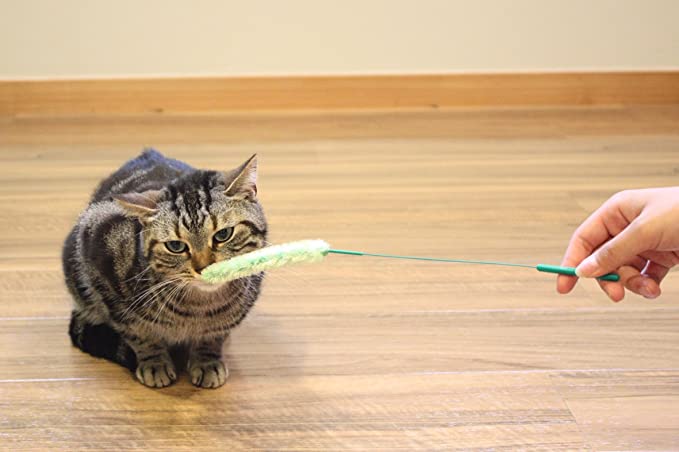 Škádlítko Klásek zelený pro kočky