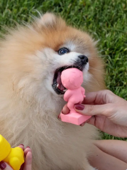 Hračka pro psy čůrající chlapeček z přírodního latexu