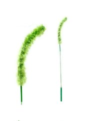 Škádlítko Klásek zelený pro kočky