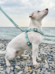 Ergonomický postroj s rozložením zátěže puntíkovaný mentolově zelený M