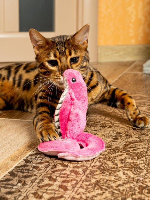 Hračka pro kočky Kobra