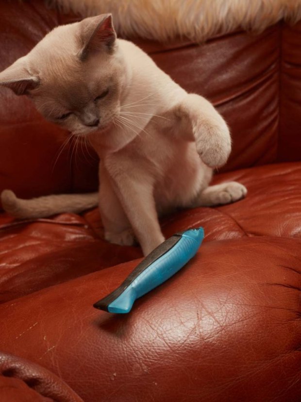 Plastová Ryba s matabi modrá