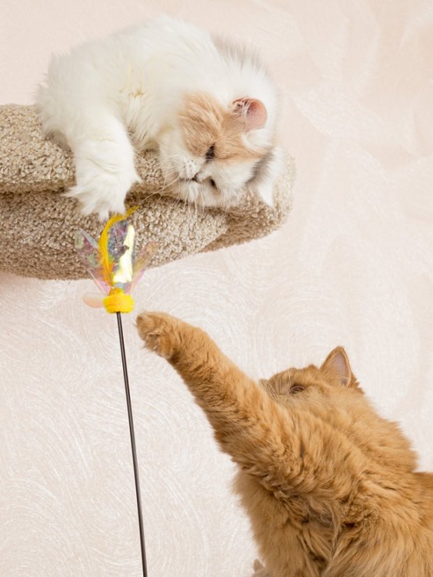 Udice Květ se stimulací tří instinktů lovce pro kočky