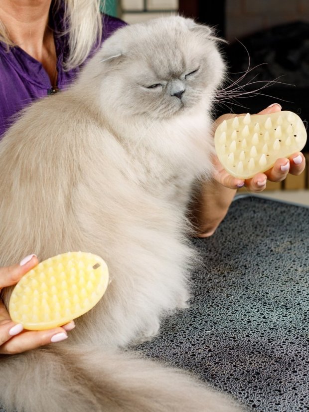 Univerzální ultrasilikonový kartáč na odstranění srsti