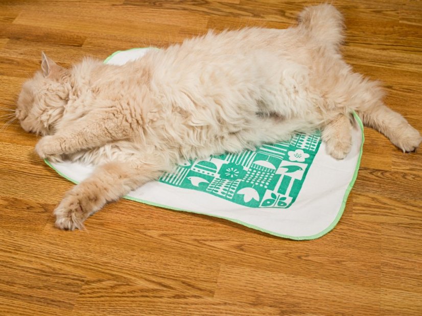 Kobereček impregnovaný Matatabi zelený 40 x 50 cm