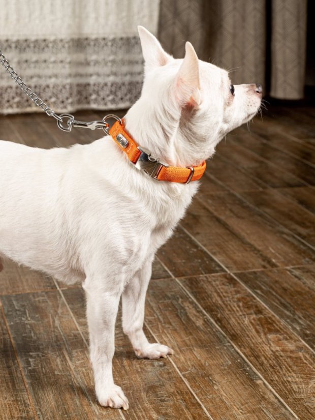 Obojek extra měkký oranžový S