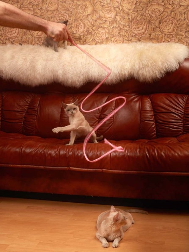 Škádlítko se silným křupáním růžové