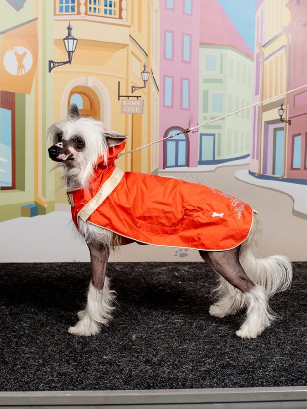 Reflexní pláštěnka oranžová S