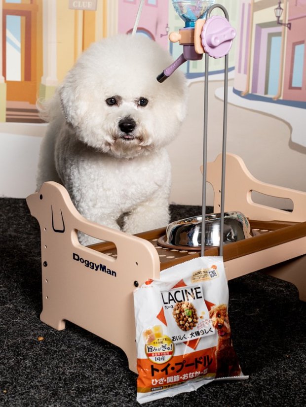 Nenaklápěcí miska s pogumovaným dnem 500 ml