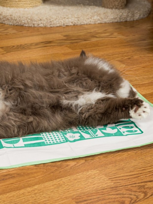 Kobereček impregnovaný Matatabi zelený 40 x 50 cm