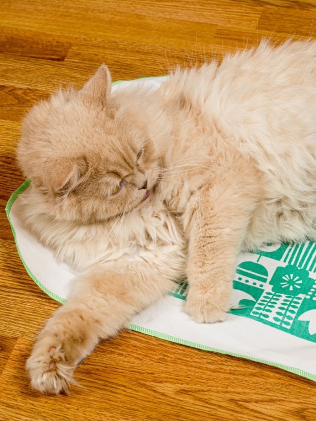 Kobereček impregnovaný Matatabi zelený 40 x 50 cm