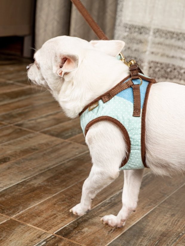 Polstrovaný postroj puntíkovaný mentolově zelený S