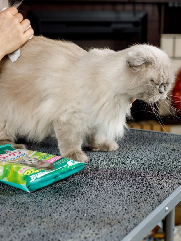 Šamponové ručníky pro koupání bez vody s kolagenem a placentou 25 ks