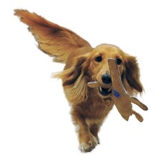 Hračka pro psy kožená Ptáček masáž dásní