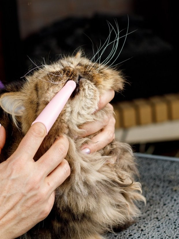 Silikonový anatomický zubní kartáček pro trénink dentální hygieny růžový