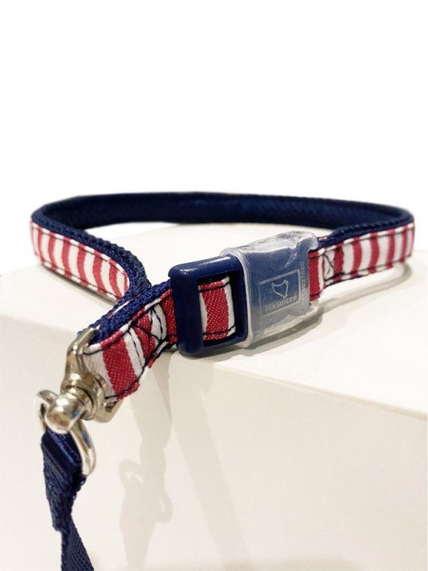 Postroj a vodítko s dvojitým zapínáním pruhovaný červený SSS