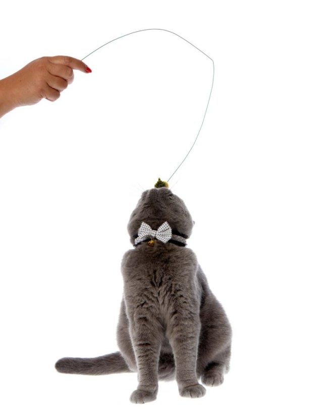 Škádlítko Včela pro kočky