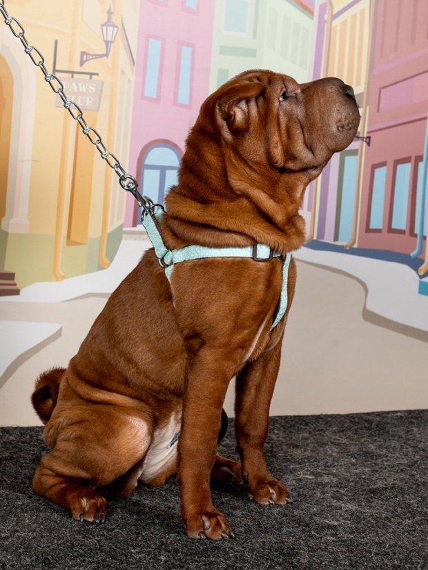 Ergonomický postroj s rozložením zátěže puntíkovaný mentolově zelený M