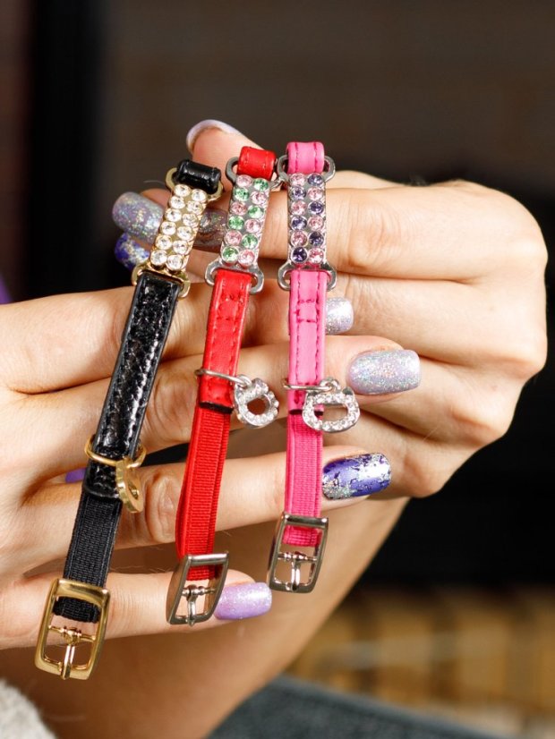 Bezpečný obojek se systémem proti udušení červený SSS