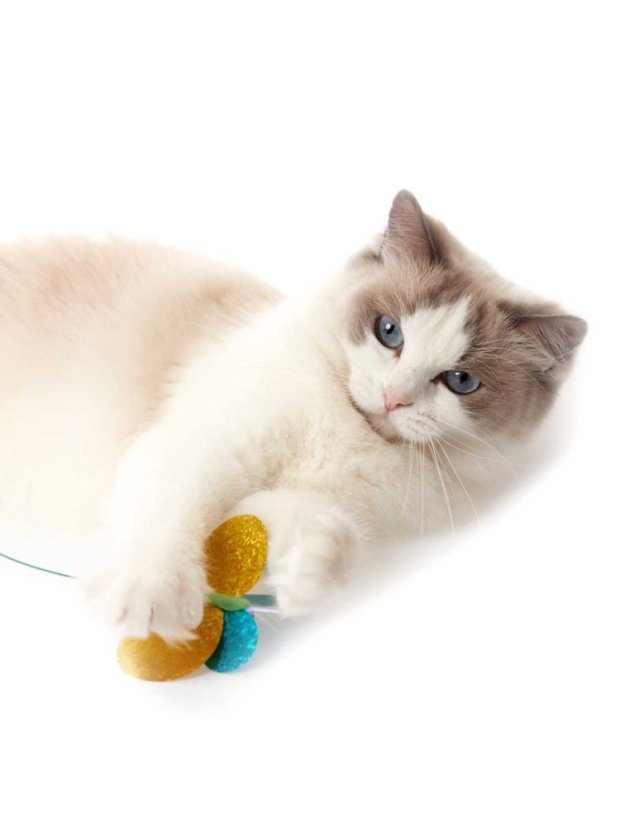 Škádlítko Motýl pro kočky