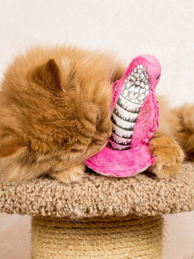 Hračka pro kočky Kobra