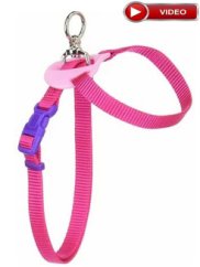 Postroj s ochranným mechanismem proti přetočení růžový L