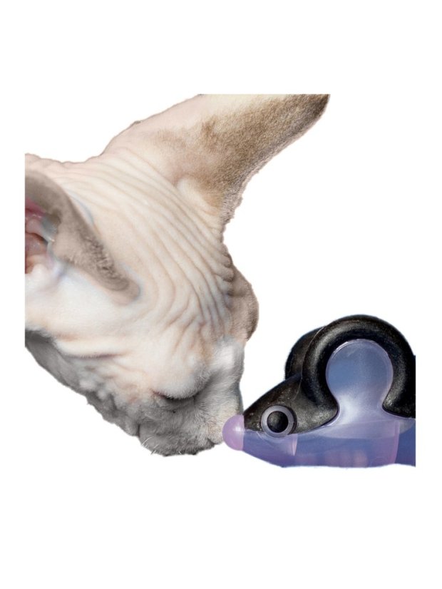 Plastová Myška s matatabi fialová