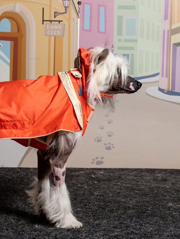 Reflexní pláštěnka oranžová S