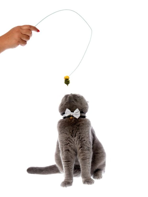 Škádlítko Včela pro kočky