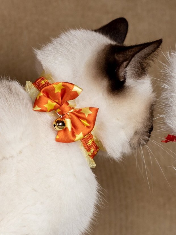 Bezpečný obojek se systémem proti udušení oranžový fashion SSS