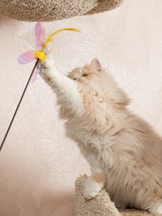 Udice Květ se stimulací tří instinktů lovce pro kočky