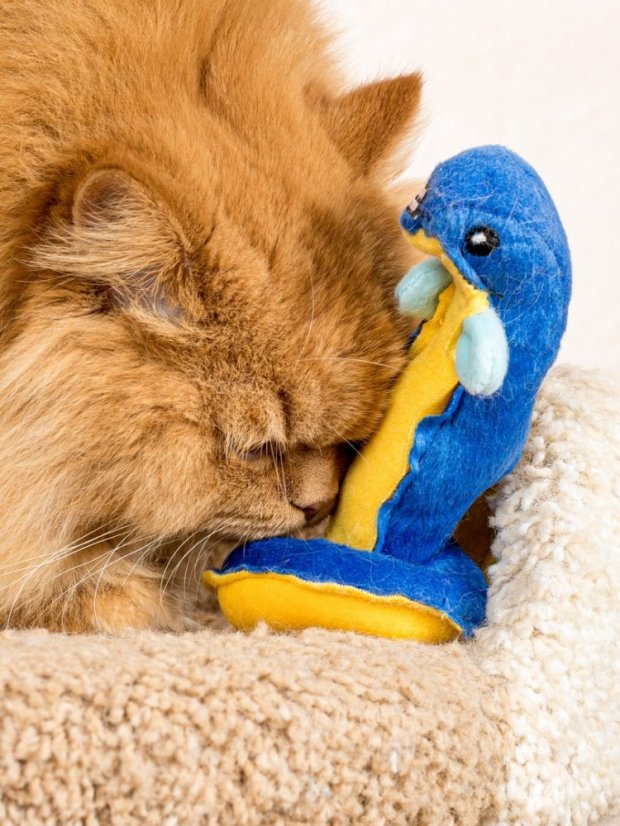 Hračka pro kočky Úhoř