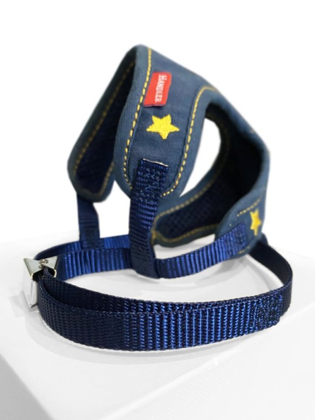 Postroj a vodítko s dvojitým zapínáním pruhovaný modrý SS