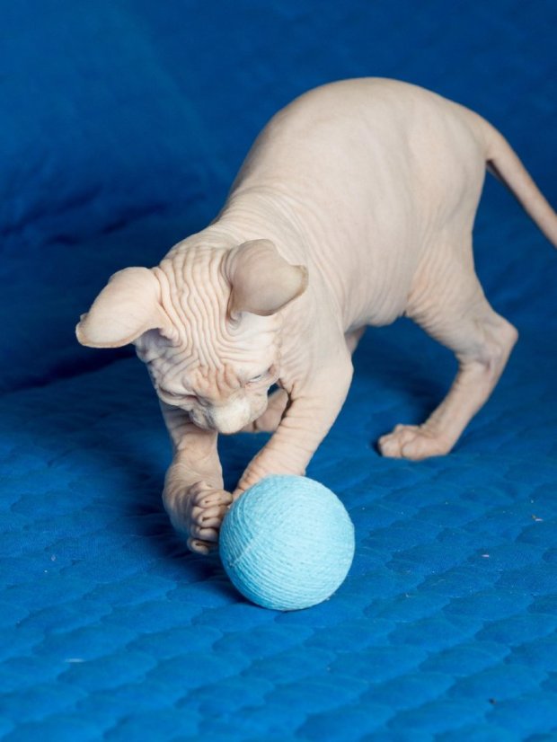 Klubíčka z tenkých nití v modré a růžové 2 ks