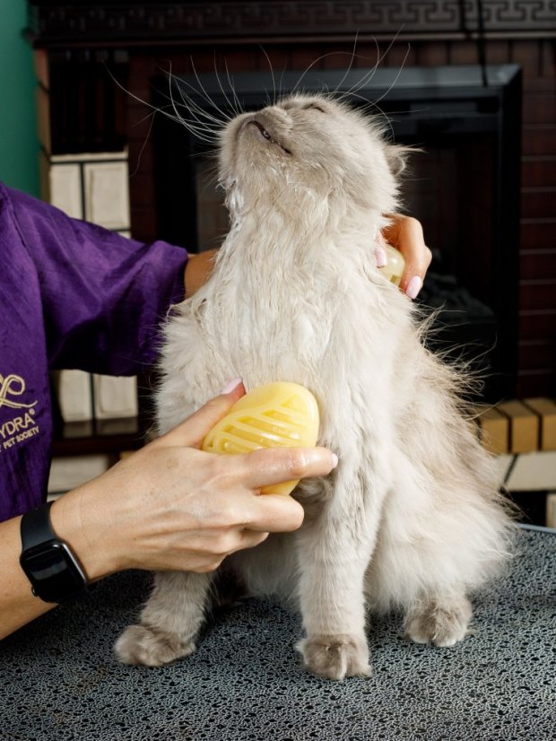 Univerzální ultrasilikonový kartáč na odstranění srsti