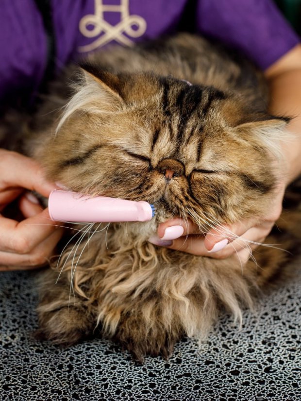 Silikonový anatomický zubní kartáček pro trénink dentální hygieny růžový