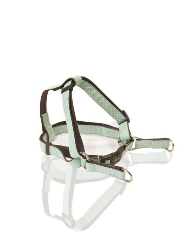 Ergonomický postroj s rozložením zátěže puntíkovaný mentolově zelený M