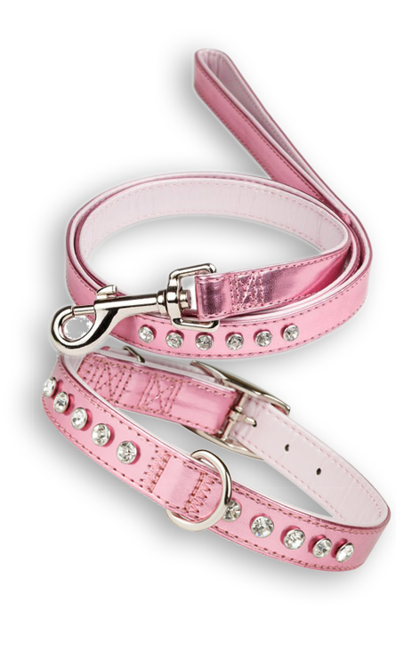 Stylové obojky a vodítka