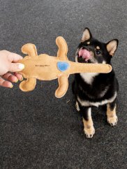 Hračka pro psy kožená Krokodýl masáž dásní