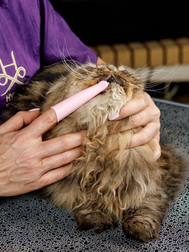 Silikonový anatomický zubní kartáček pro trénink dentální hygieny růžový