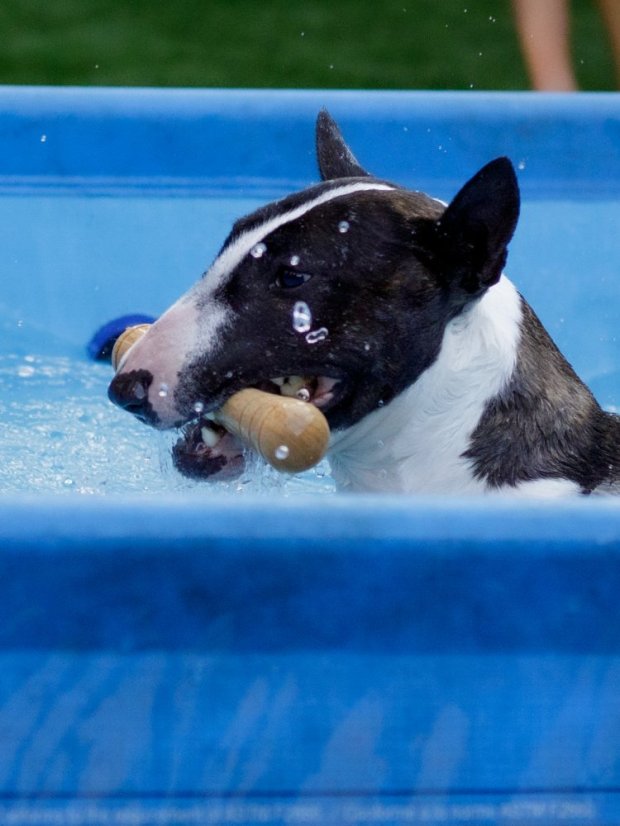Aportovací činka dřevěná M
